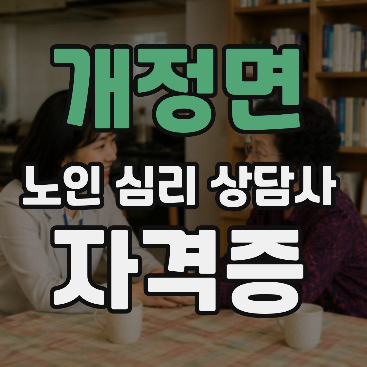 개정면 노인 심리 상담사 자격증