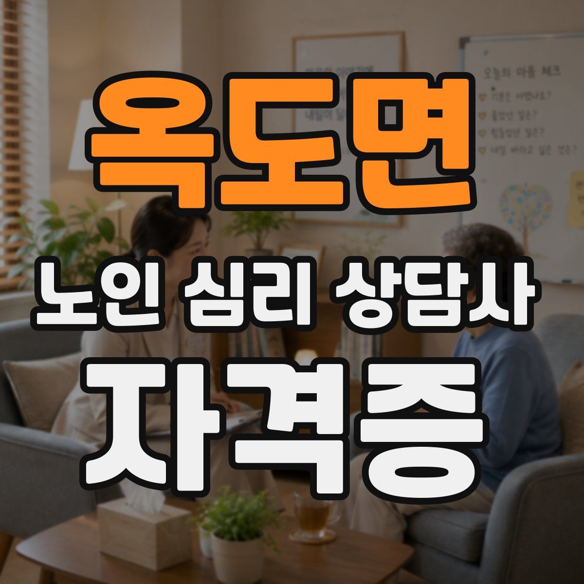 옥도면 노인 심리 상담사 자격증