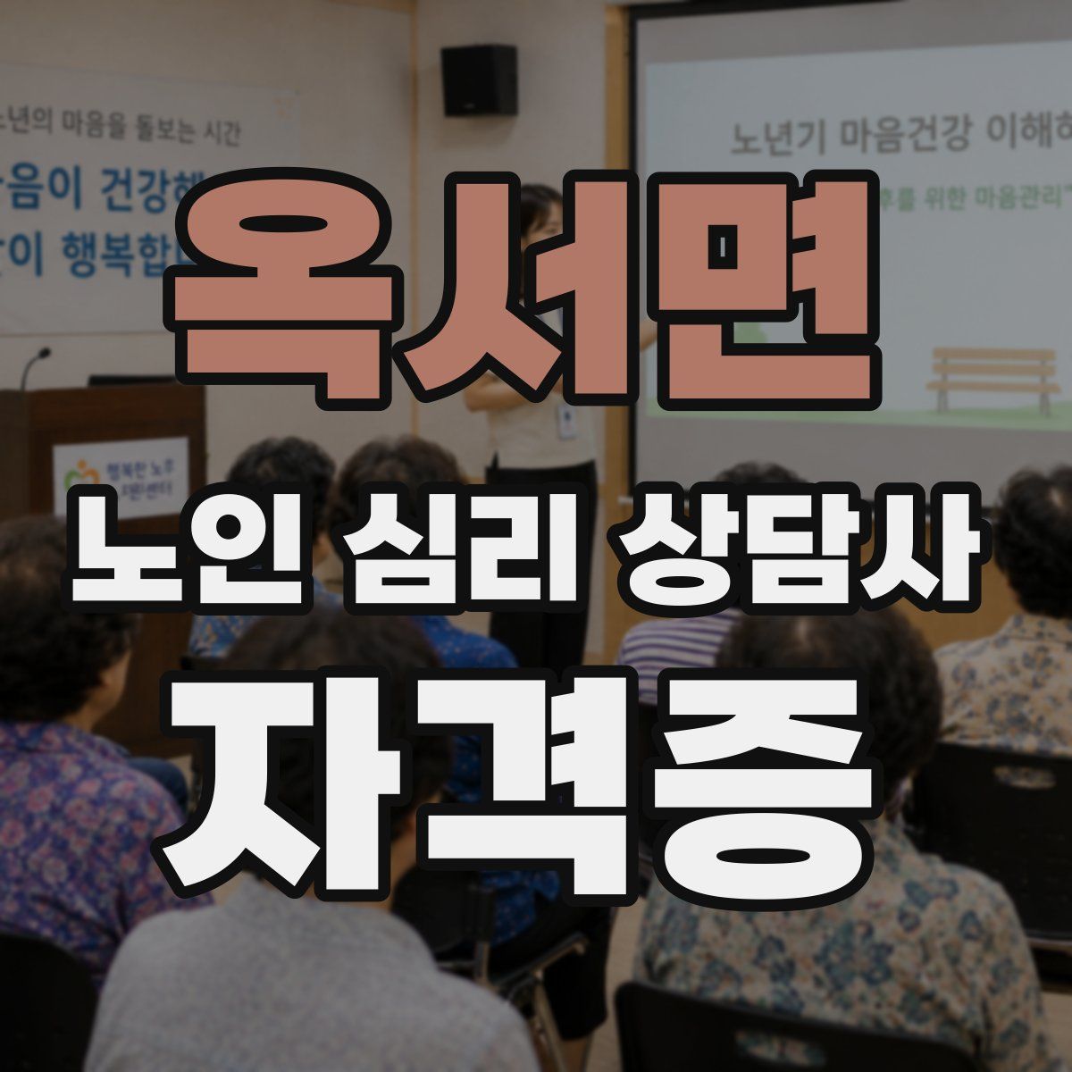 옥서면 노인 심리 상담사 자격증