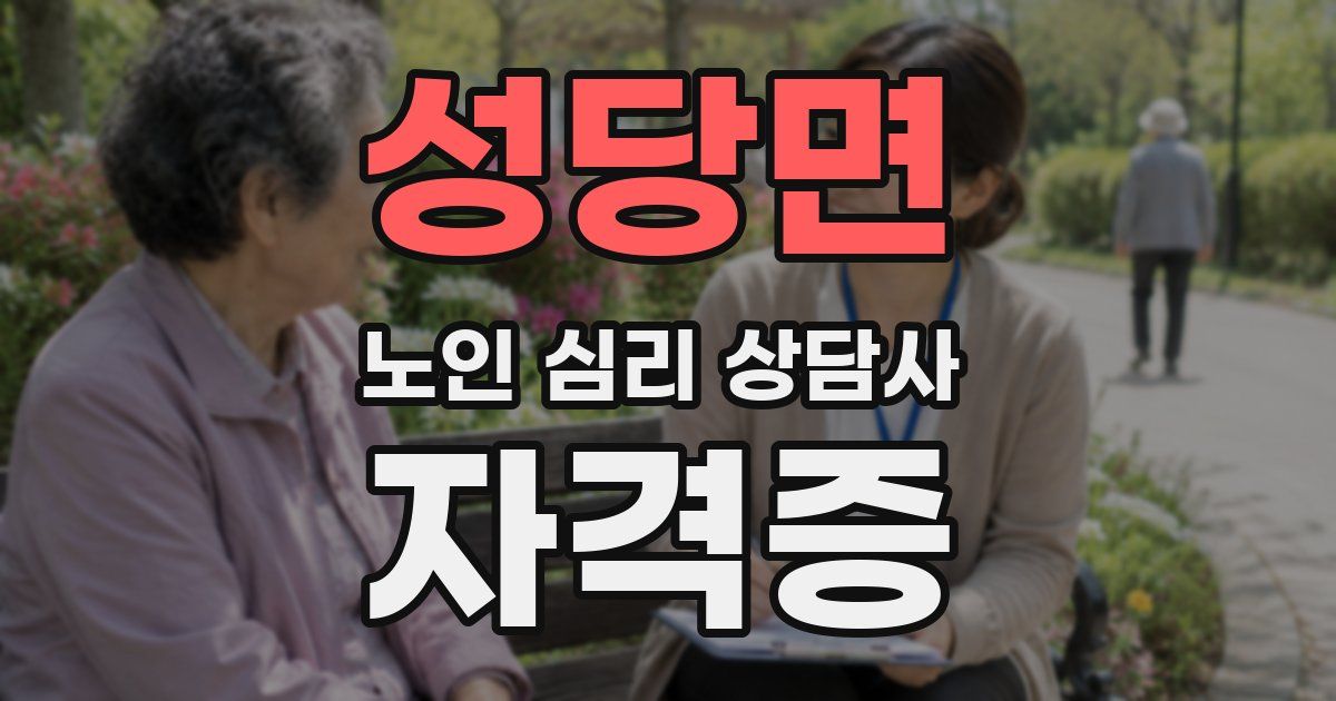 성당면 노인 심리 상담사 자격증