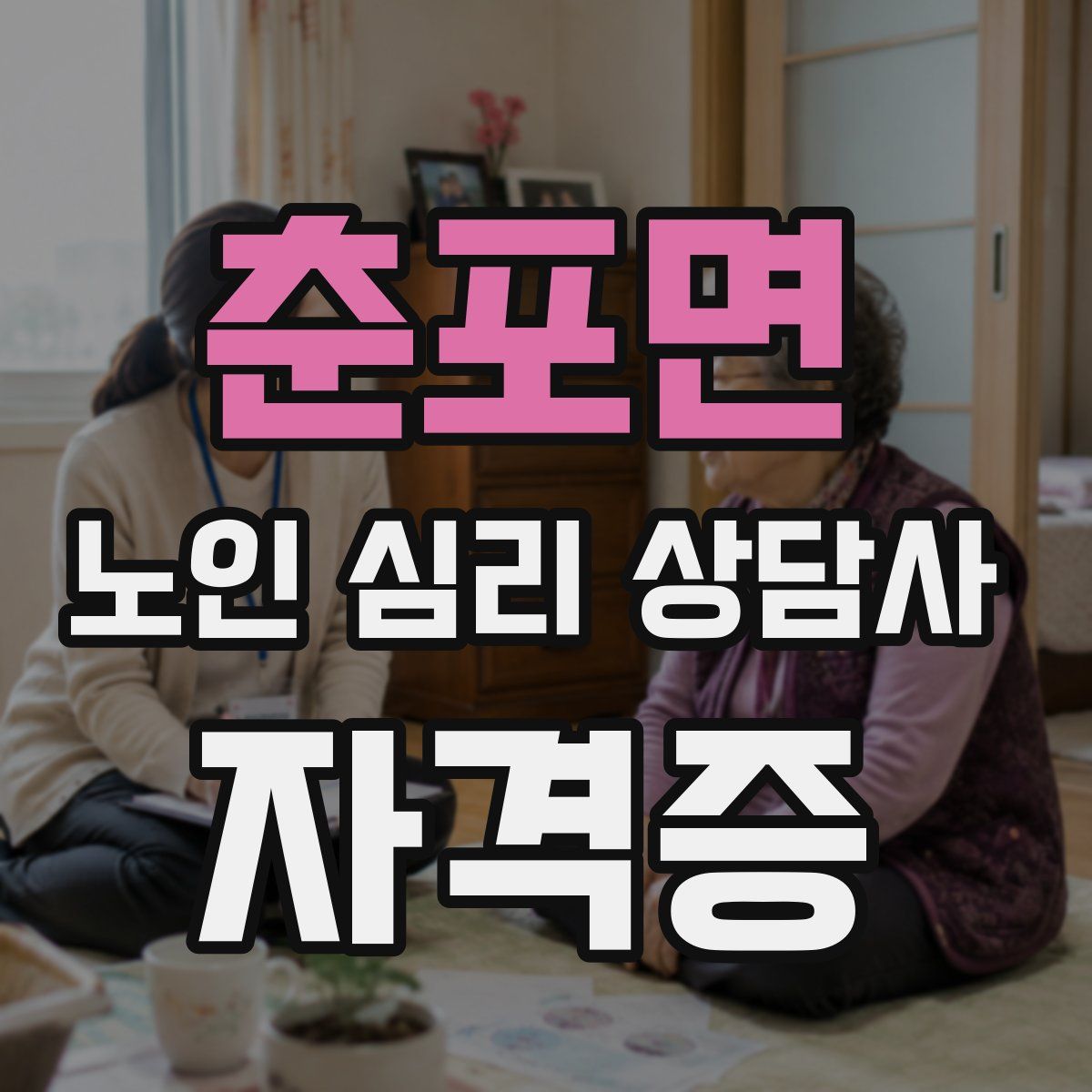 춘포면 노인 심리 상담사 자격증