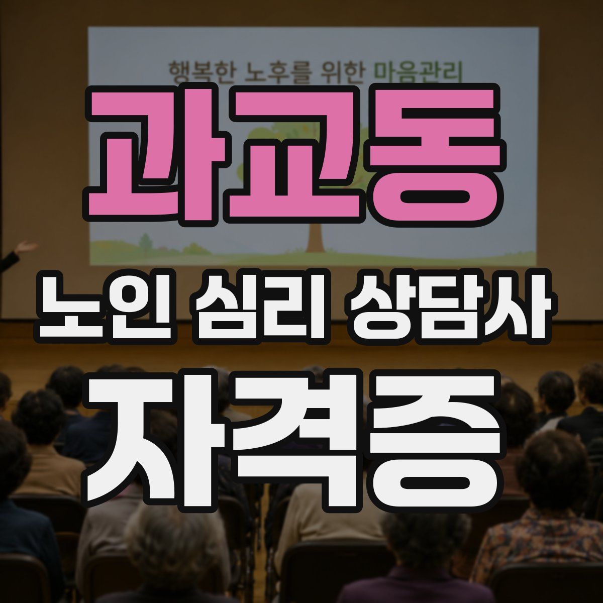 과교동 노인 심리 상담사 자격증