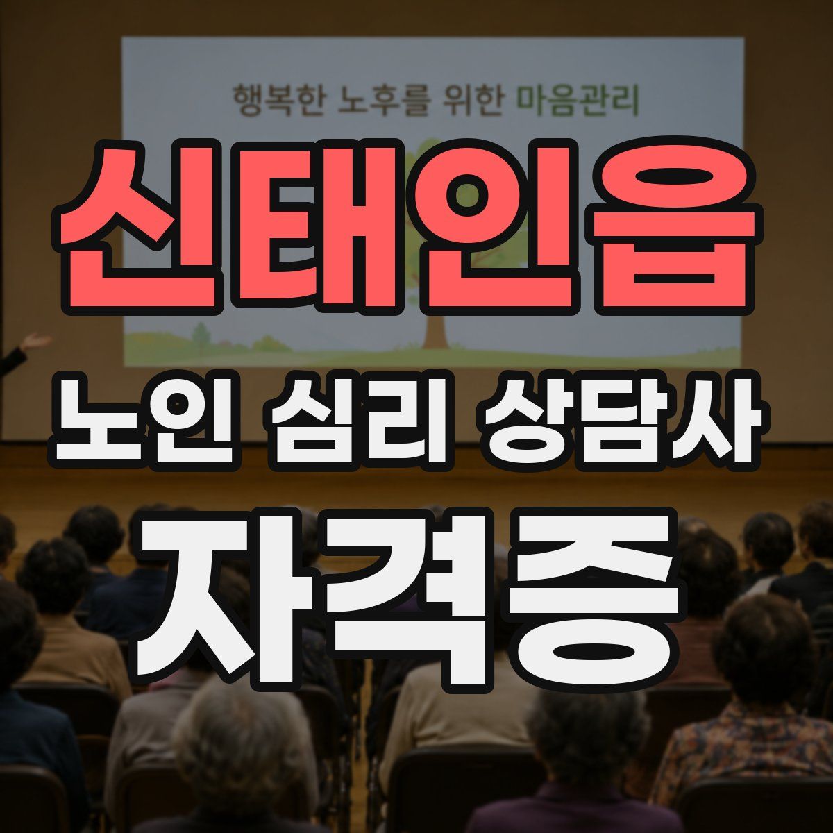 신태인읍 노인 심리 상담사 자격증