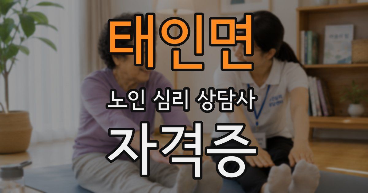 태인면 노인 심리 상담사 자격증
