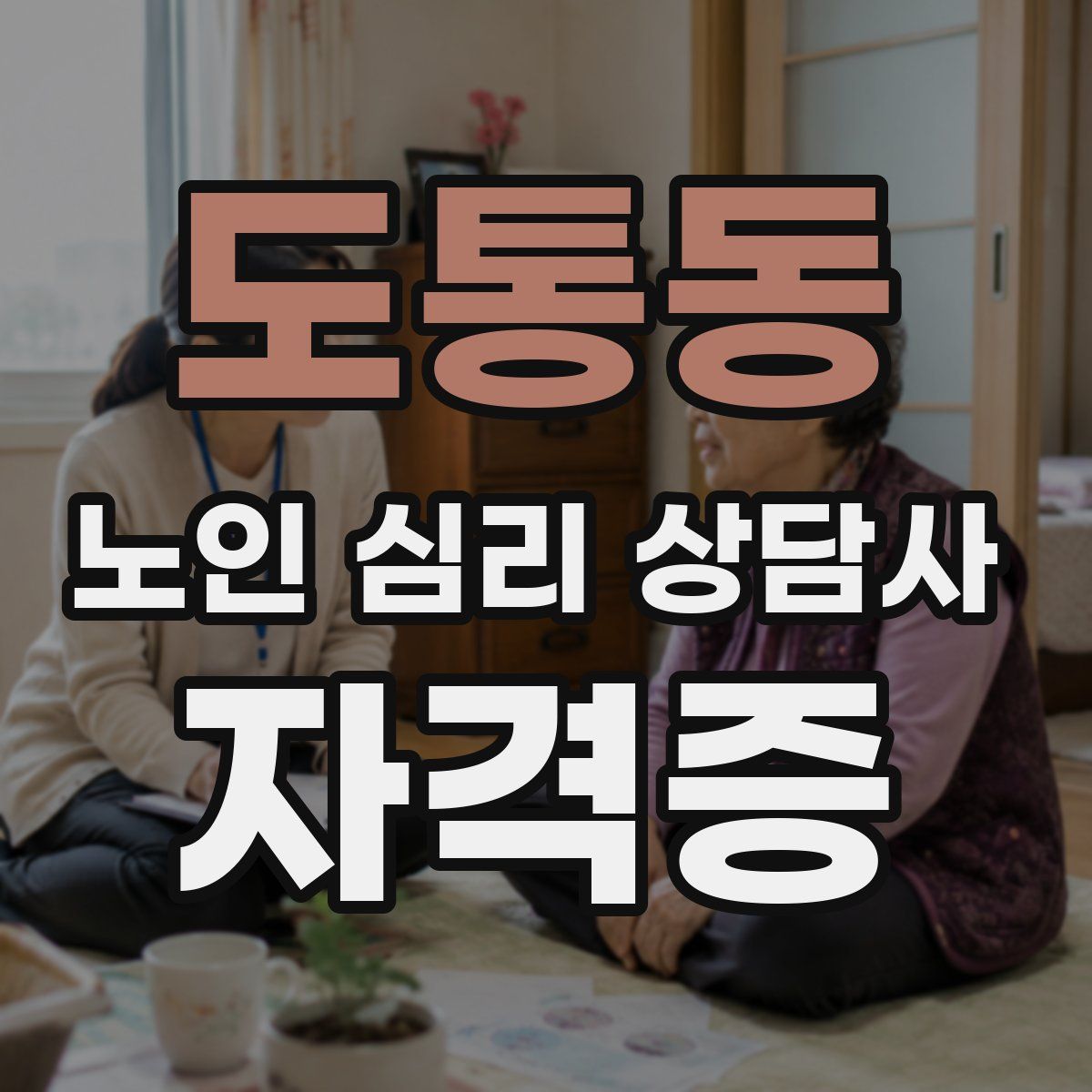 도통동 노인 심리 상담사 자격증