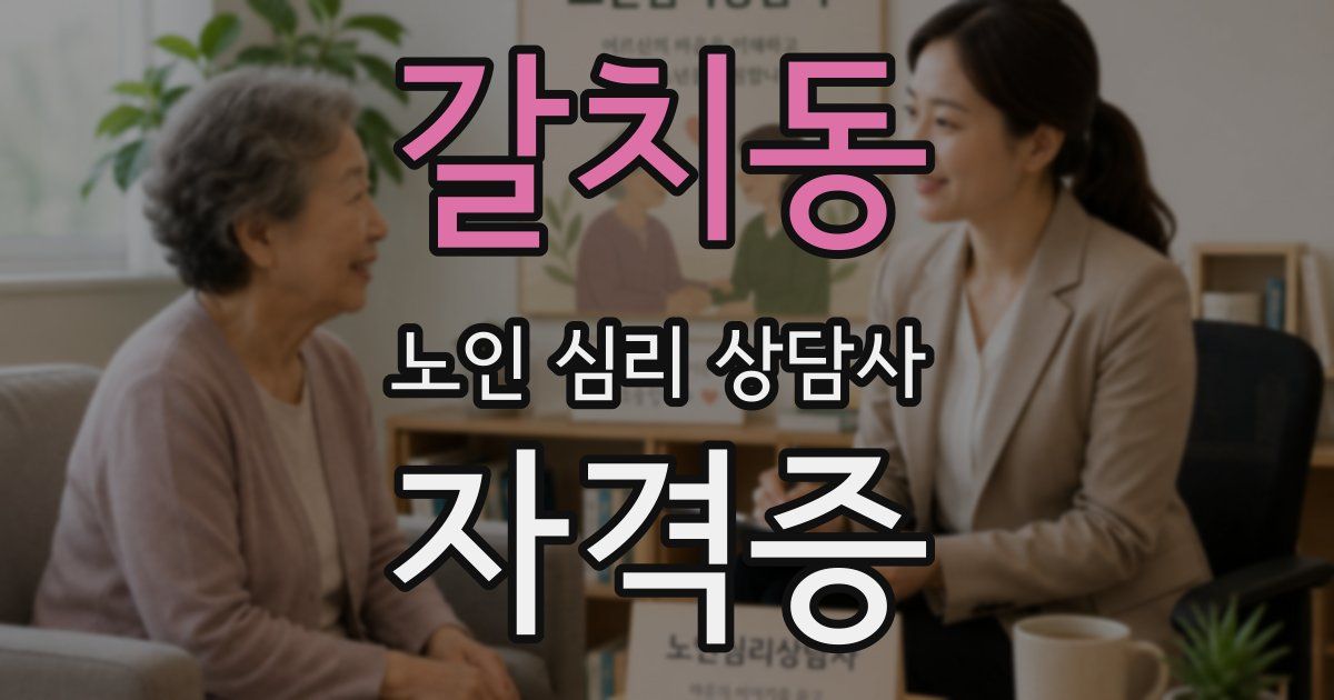 갈치동 노인 심리 상담사 자격증