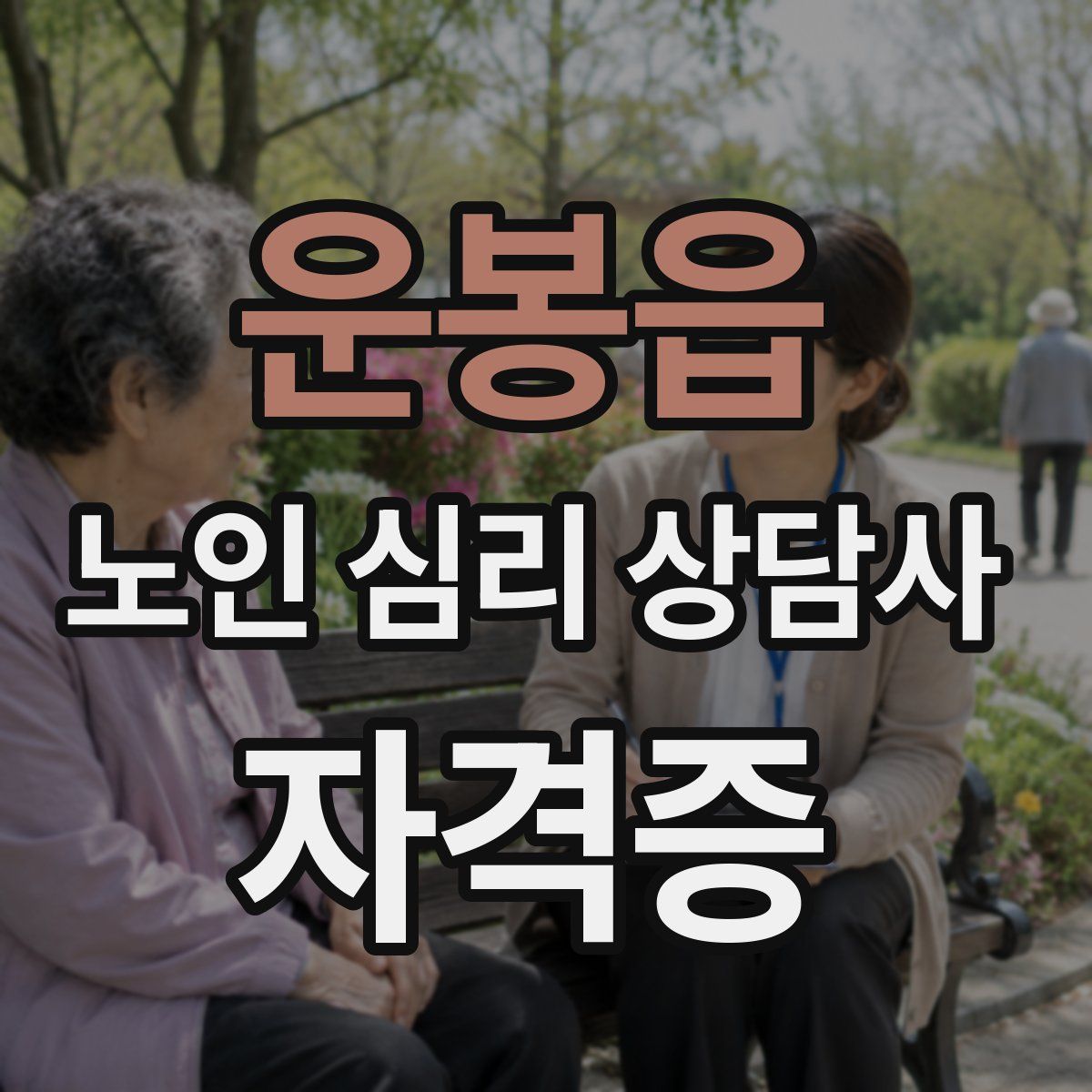 운봉읍 노인 심리 상담사 자격증