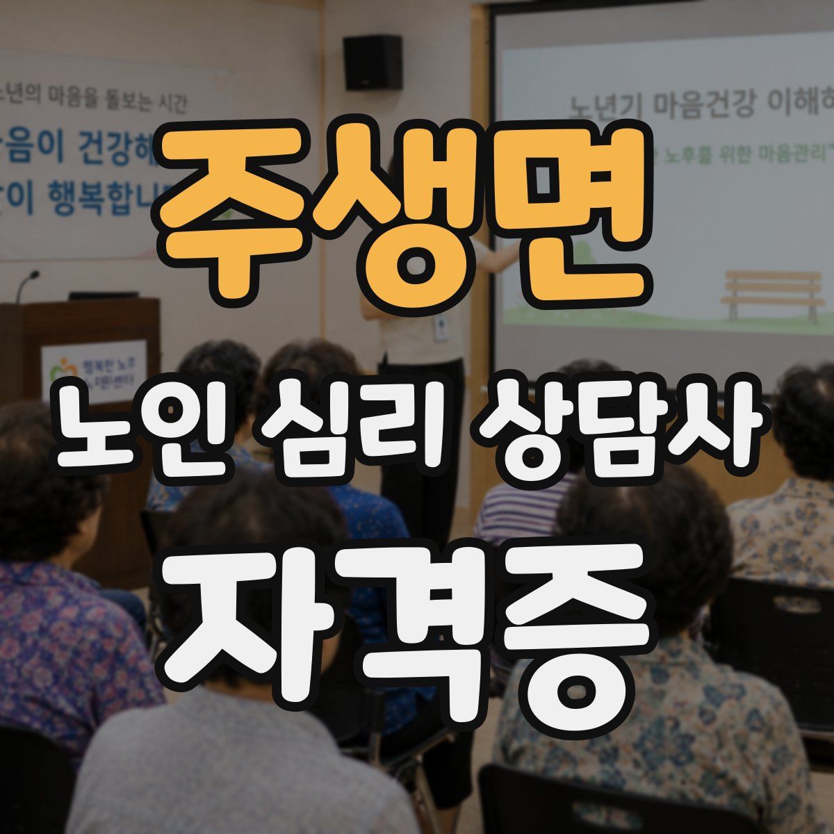 주생면 노인 심리 상담사 자격증