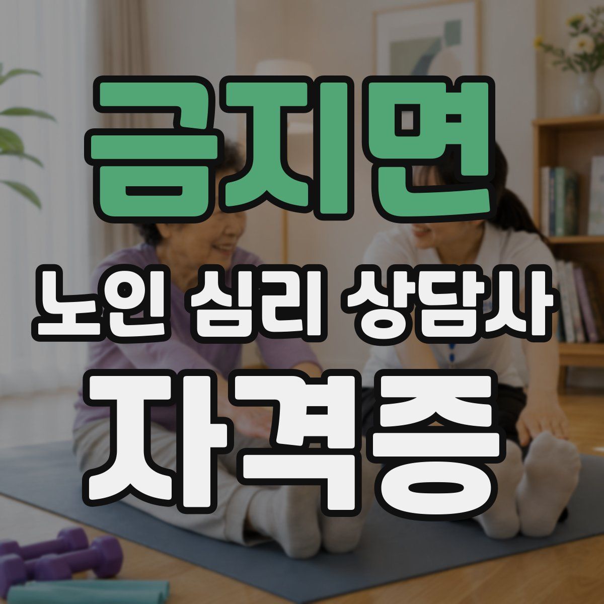 금지면 노인 심리 상담사 자격증
