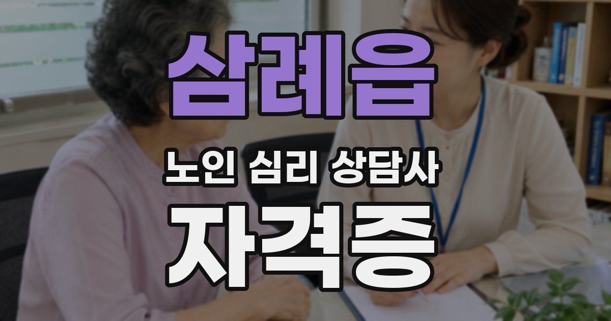 삼례읍 노인 심리 상담사 자격증