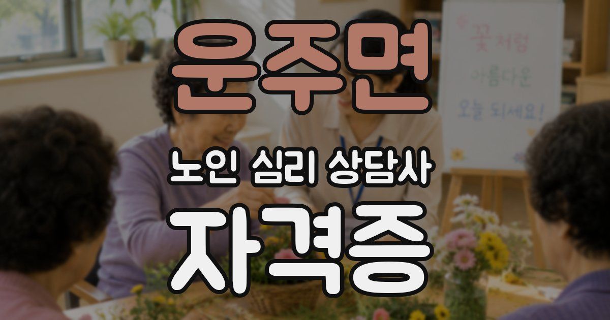 운주면 노인 심리 상담사 자격증