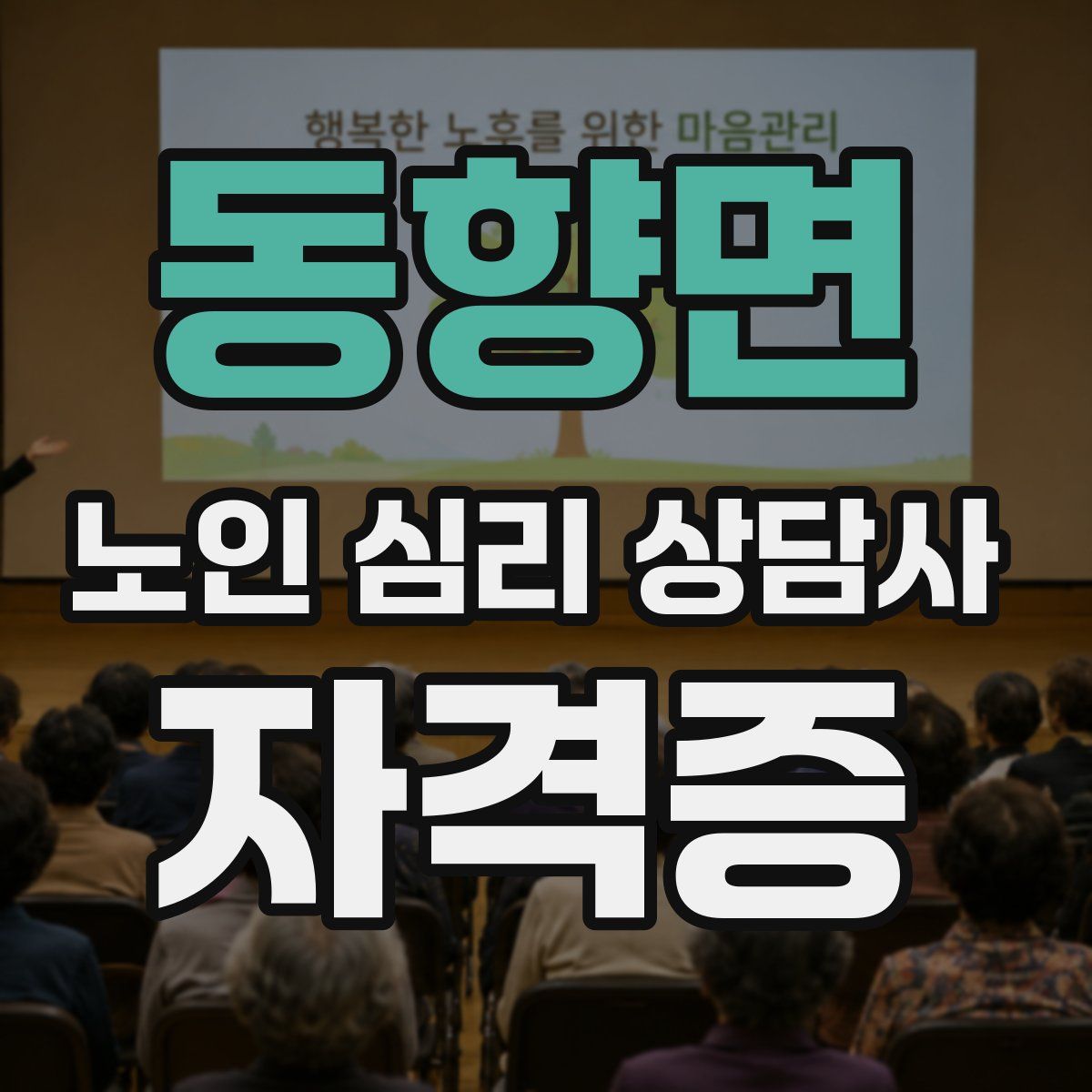 동향면 노인 심리 상담사 자격증