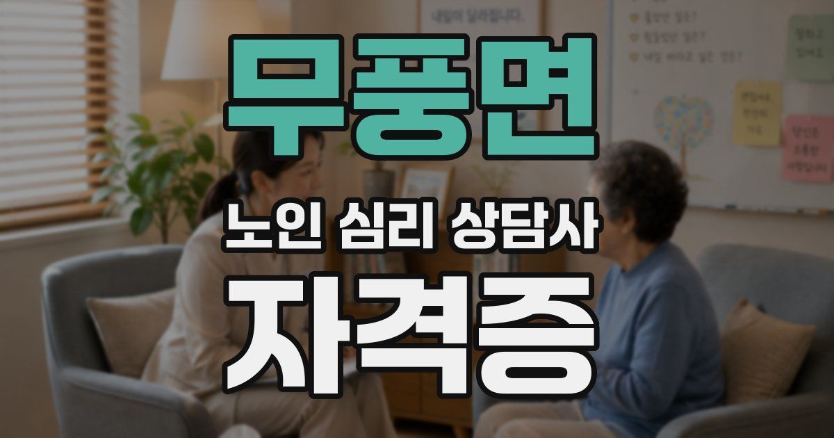 무풍면 노인 심리 상담사 자격증