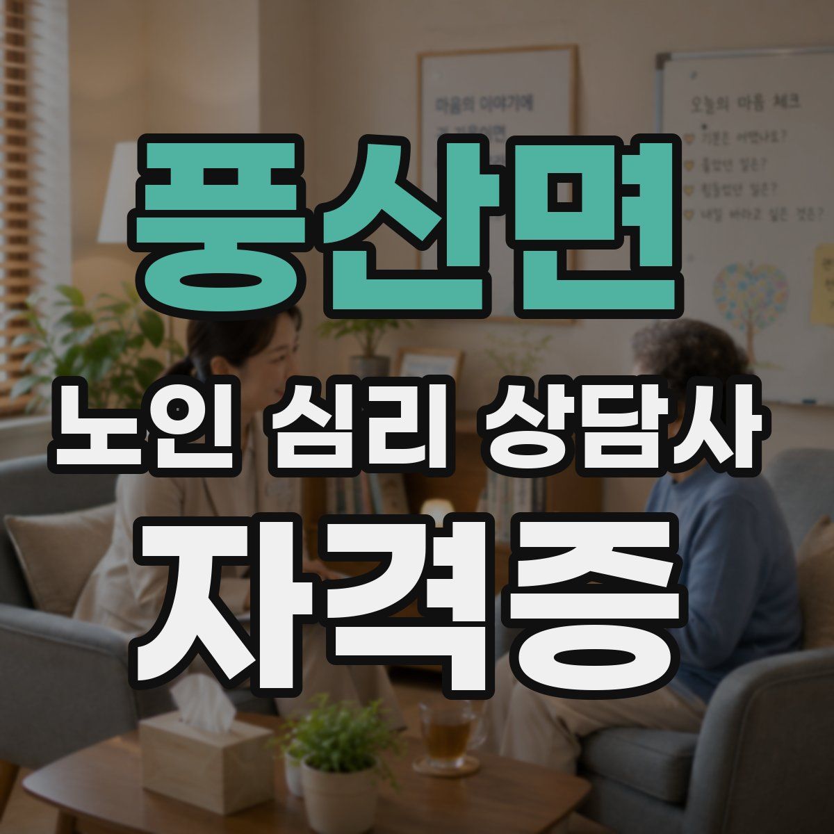 풍산면 노인 심리 상담사 자격증