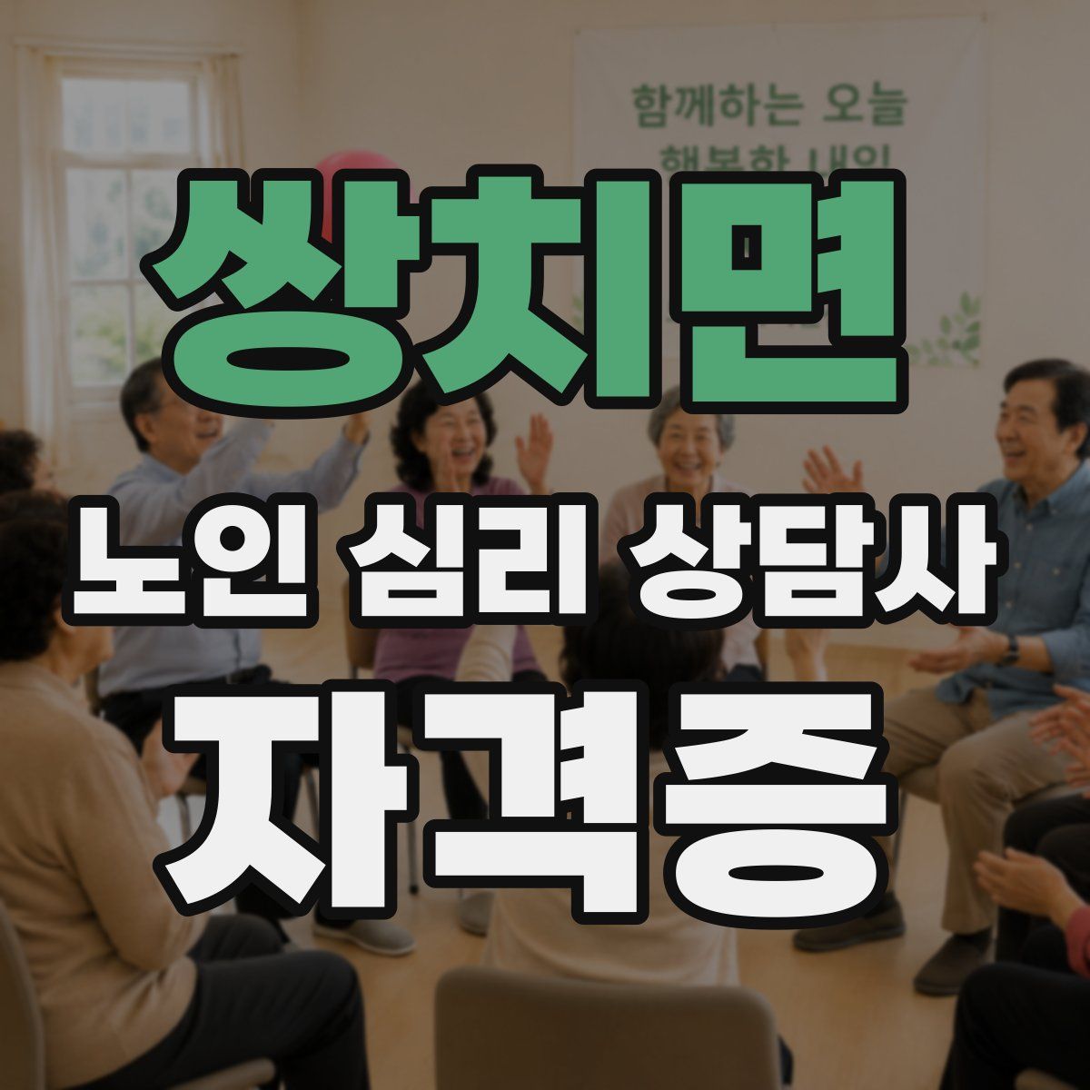 쌍치면 노인 심리 상담사 자격증