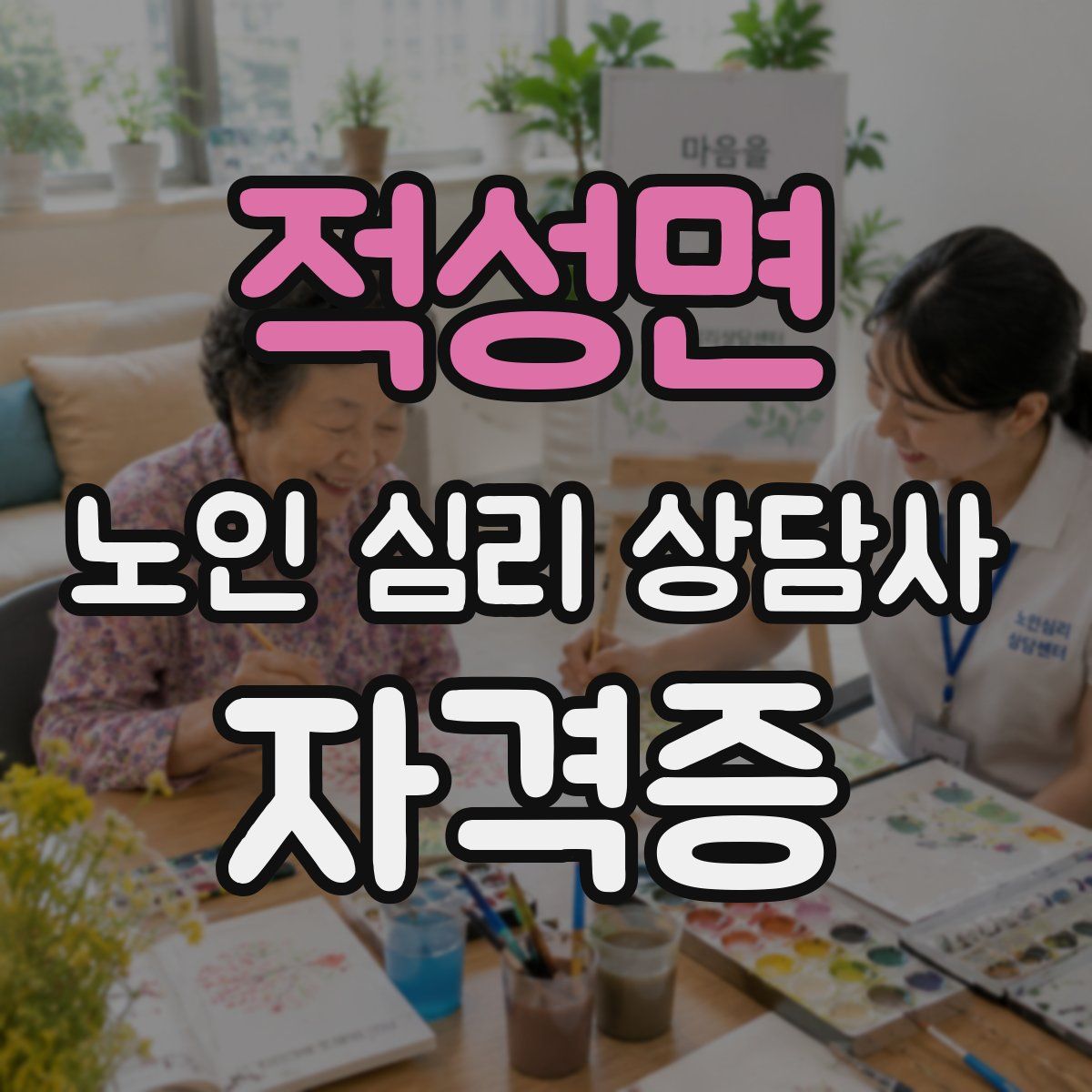 적성면 노인 심리 상담사 자격증