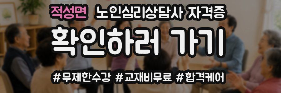 적성면 노인 심리 상담사 자격증