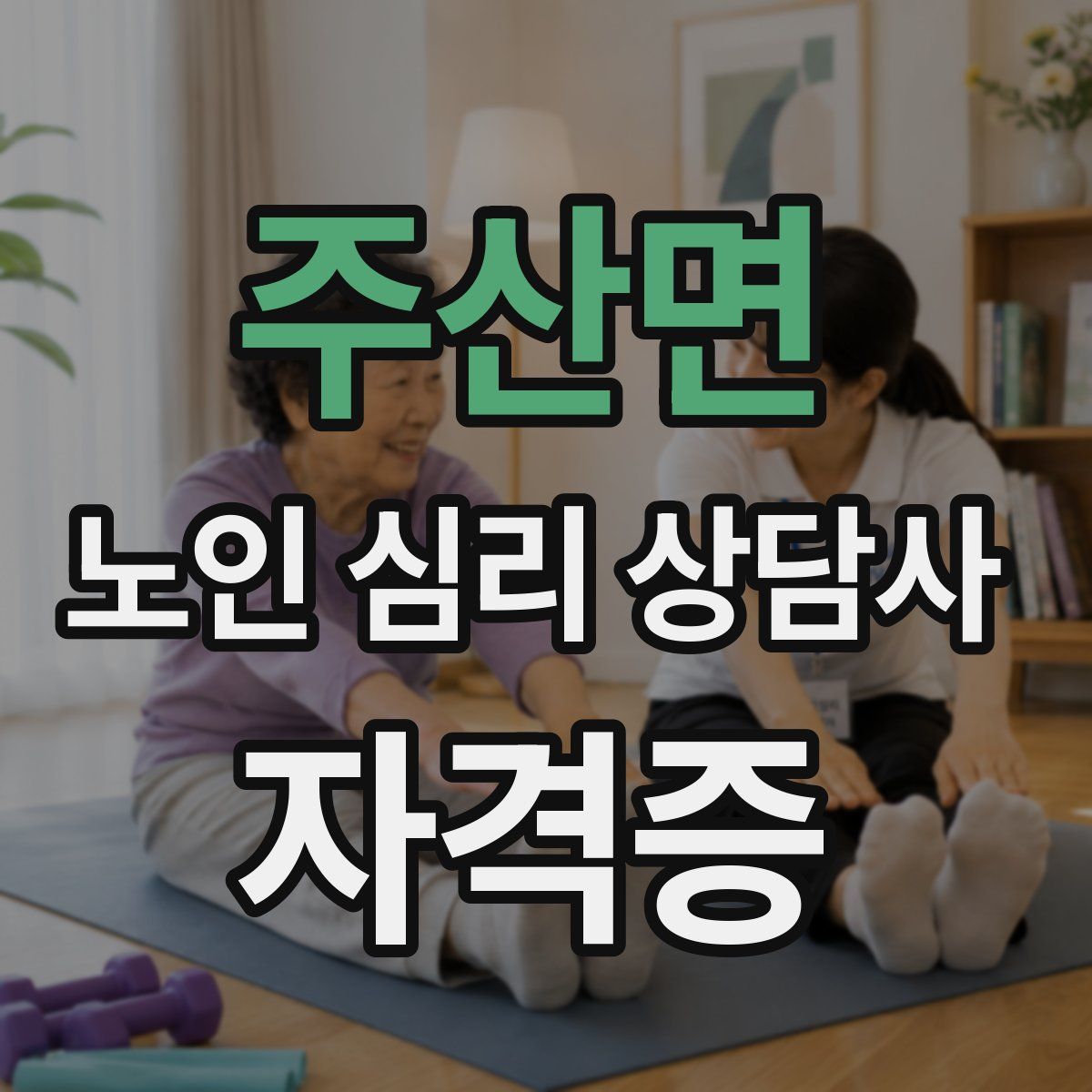 주산면 노인 심리 상담사 자격증
