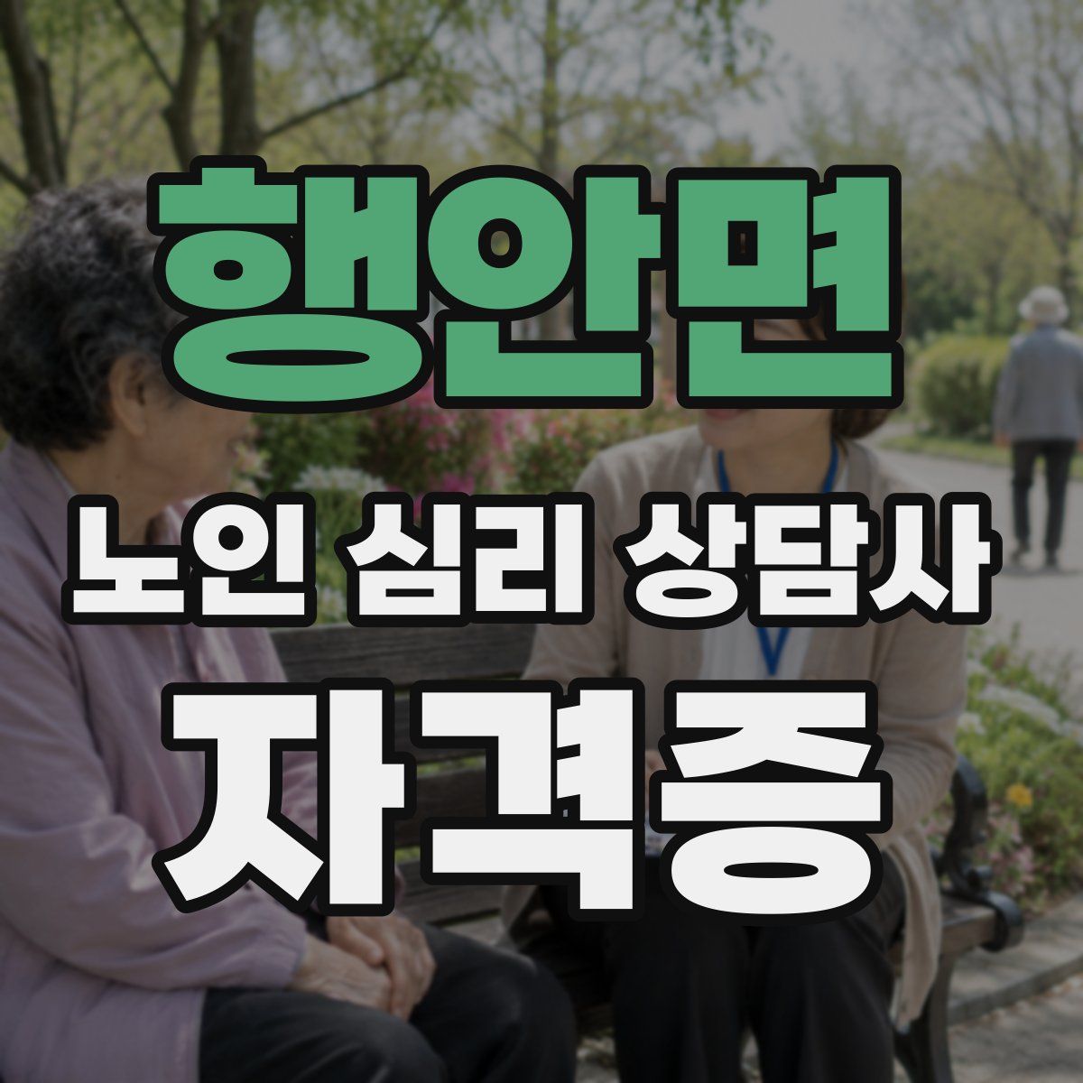 행안면 노인 심리 상담사 자격증