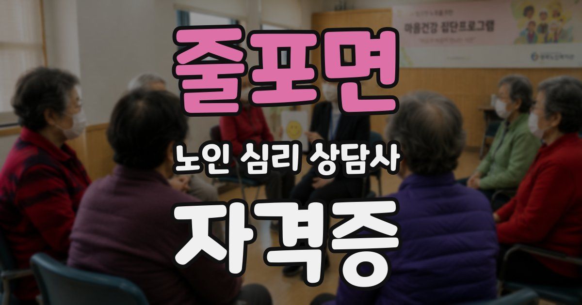 줄포면 노인 심리 상담사 자격증