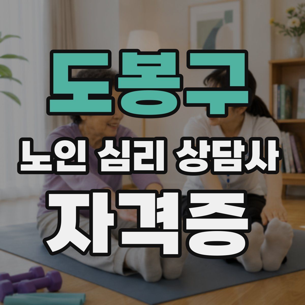 도봉구 노인 심리 상담사 자격증
