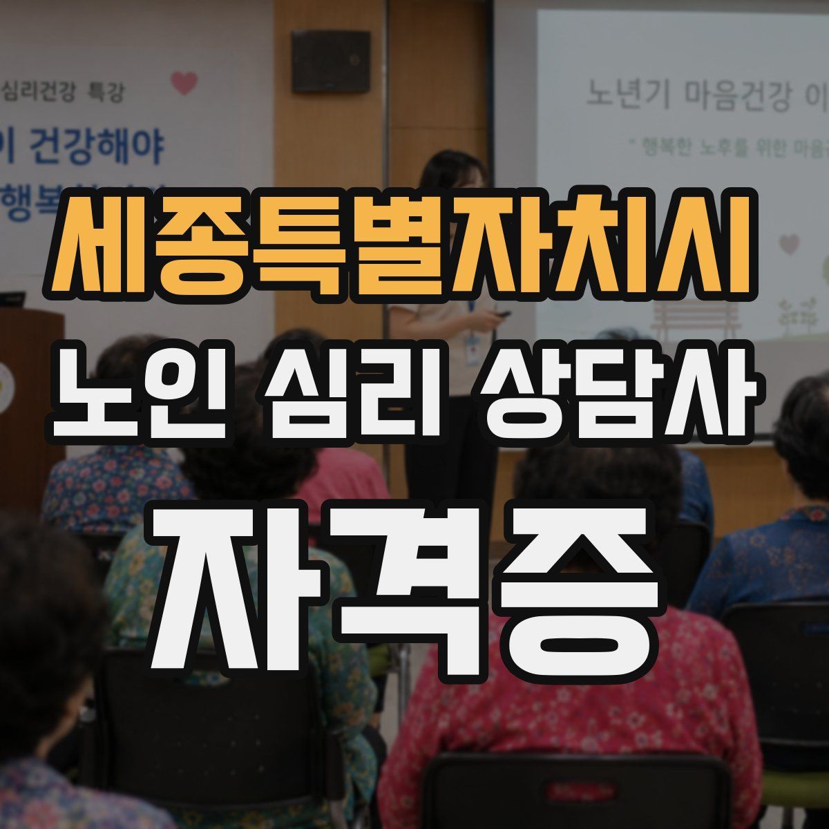 세종특별자치시 노인 심리 상담사 자격증