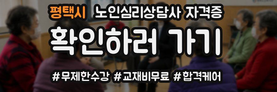 평택시 노인 심리 상담사 자격증