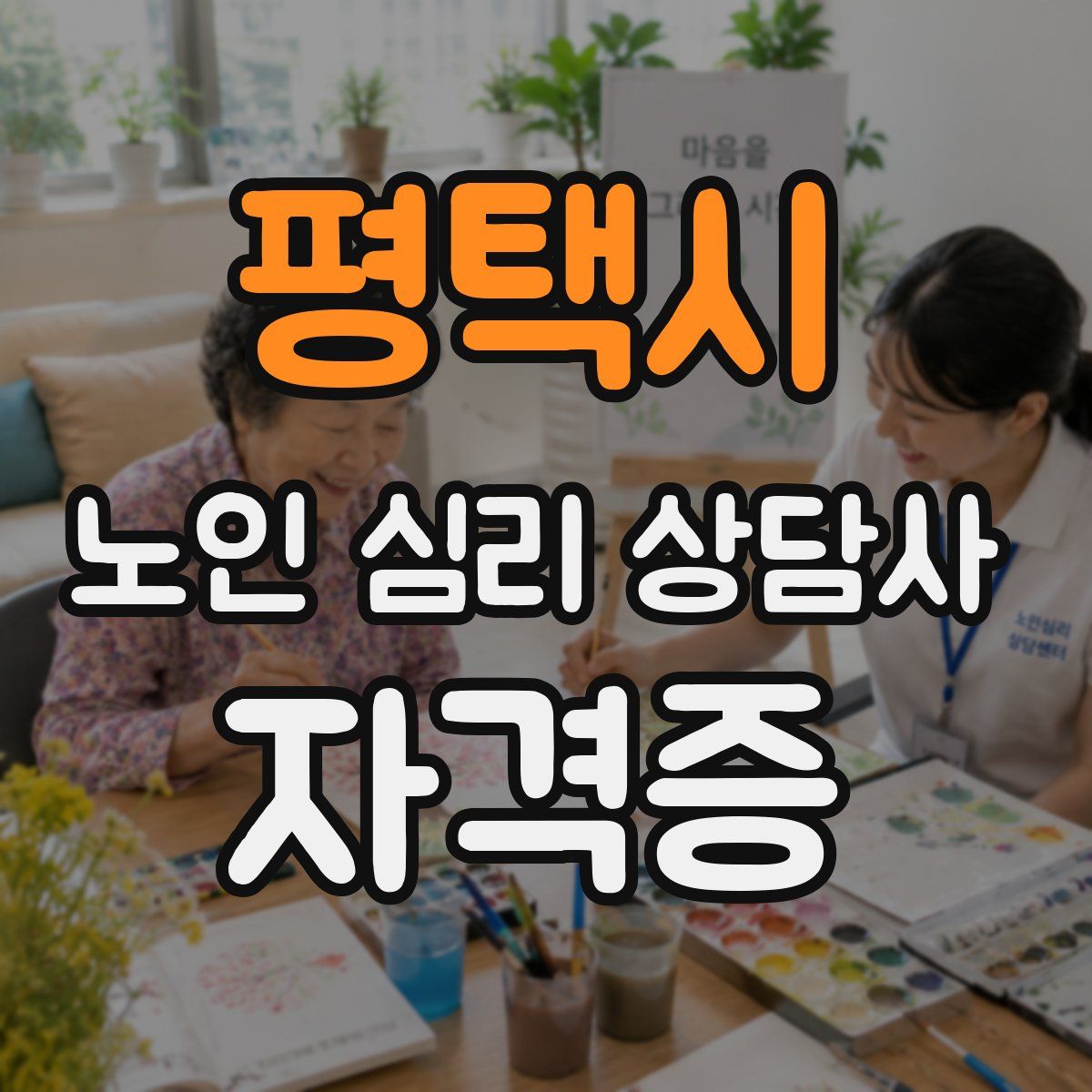 평택시 노인 심리 상담사 자격증
