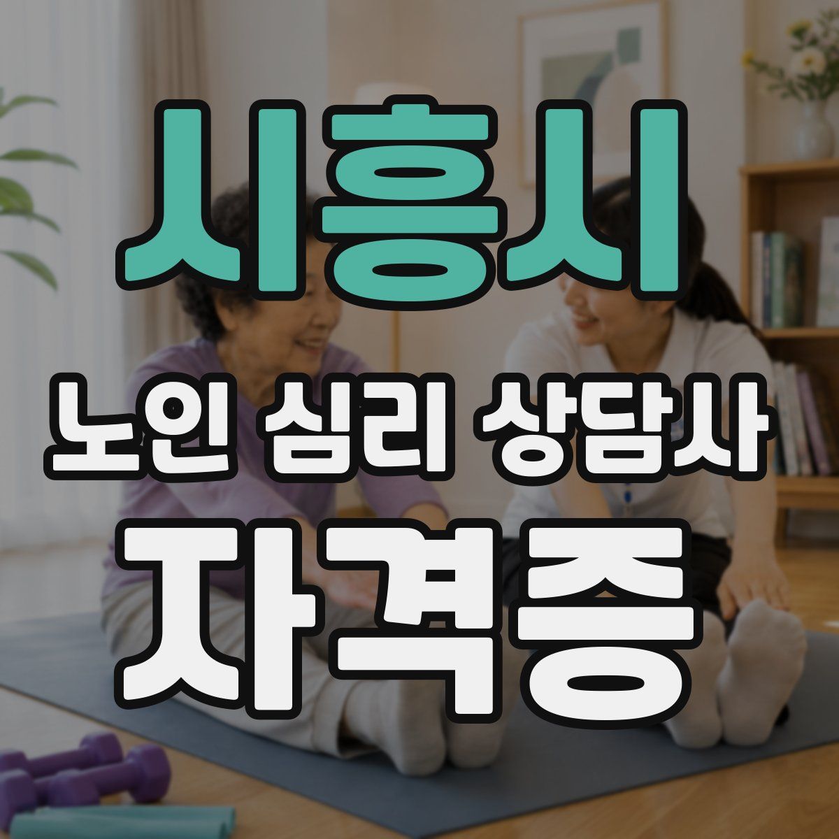 시흥시 노인 심리 상담사 자격증