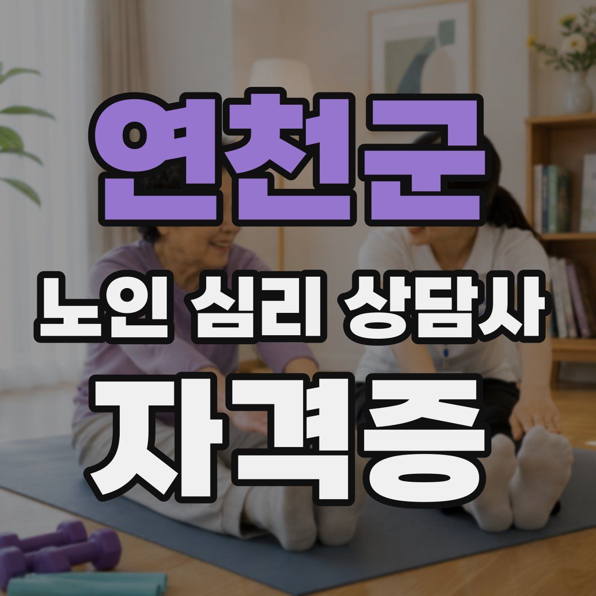 연천군 노인 심리 상담사 자격증
