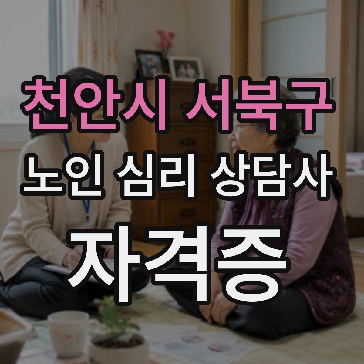 천안시 서북구 노인 심리 상담사 자격증