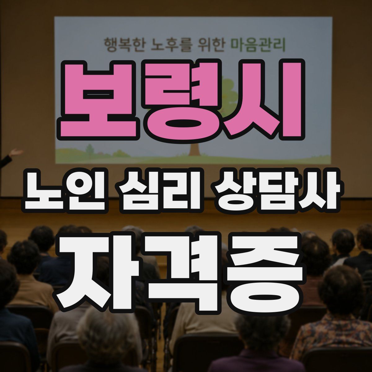 보령시 노인 심리 상담사 자격증