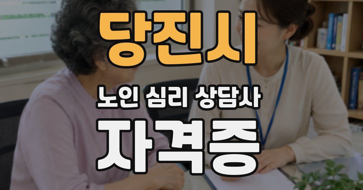 당진시 노인 심리 상담사 자격증