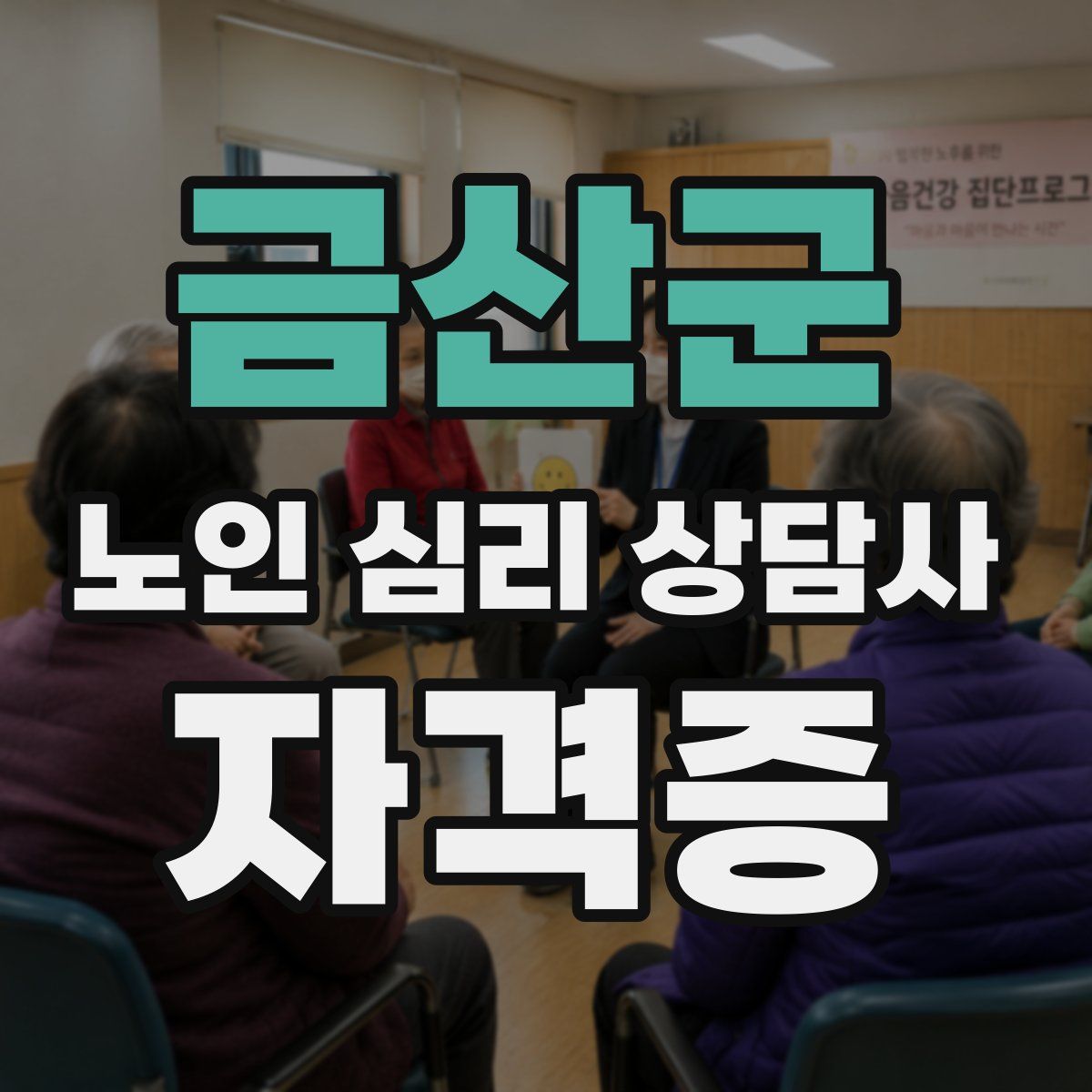 금산군 노인 심리 상담사 자격증