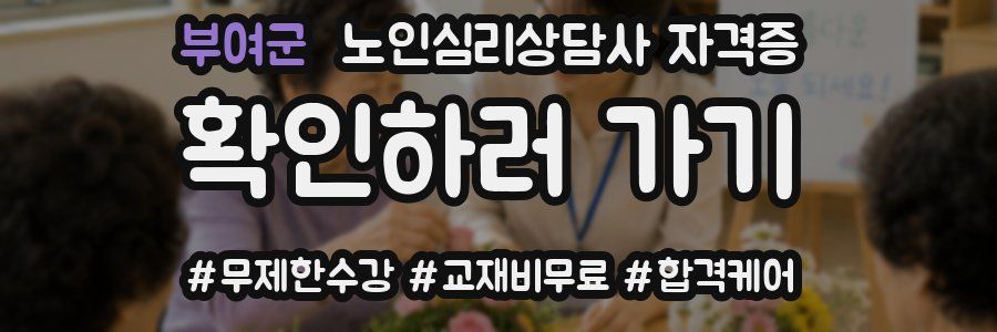 부여군 노인 심리 상담사 자격증