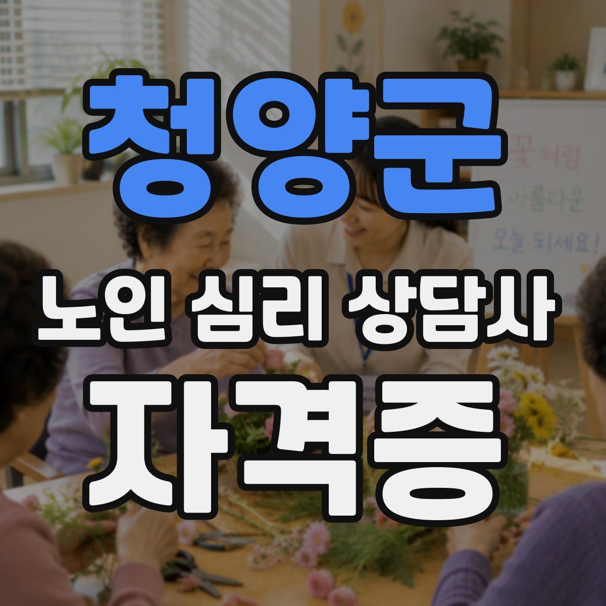 청양군 노인 심리 상담사 자격증