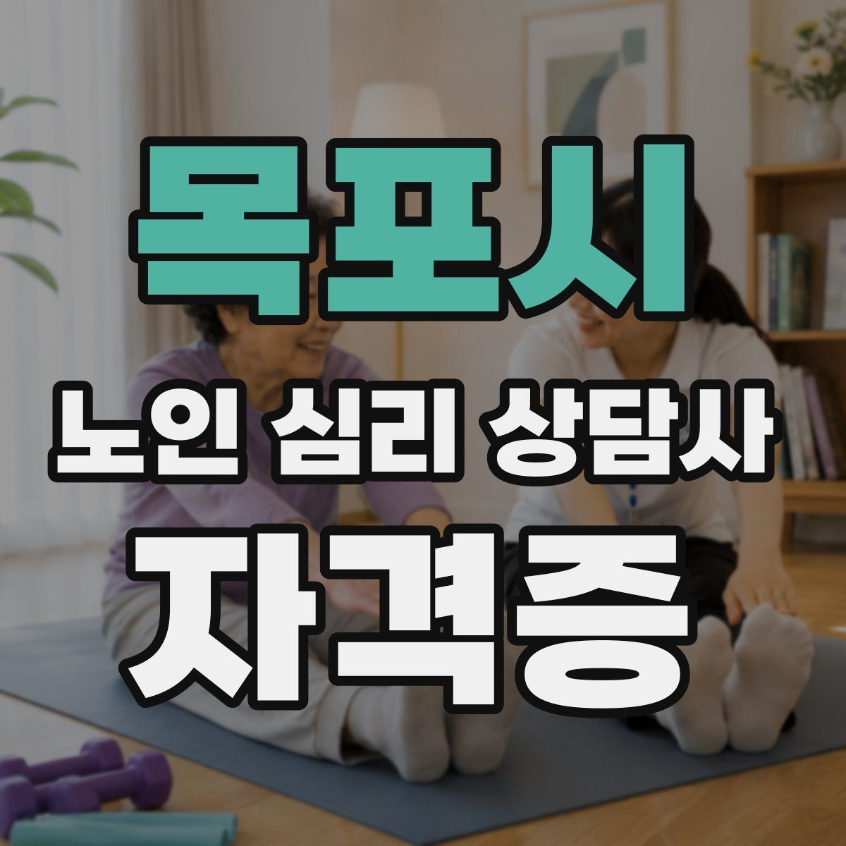 목포시 노인 심리 상담사 자격증