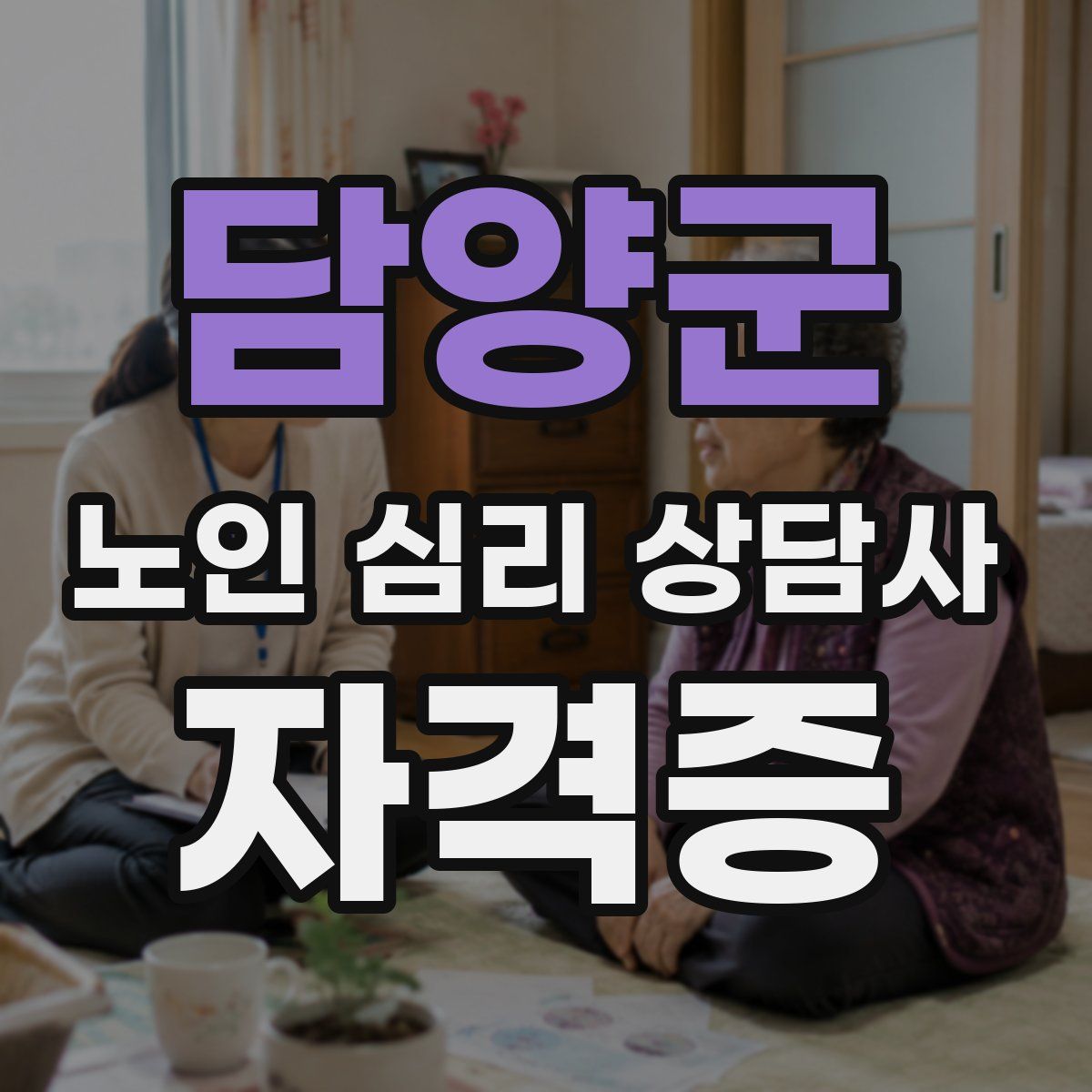 담양군 노인 심리 상담사 자격증