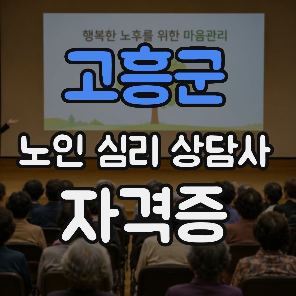 고흥군 노인 심리 상담사 자격증