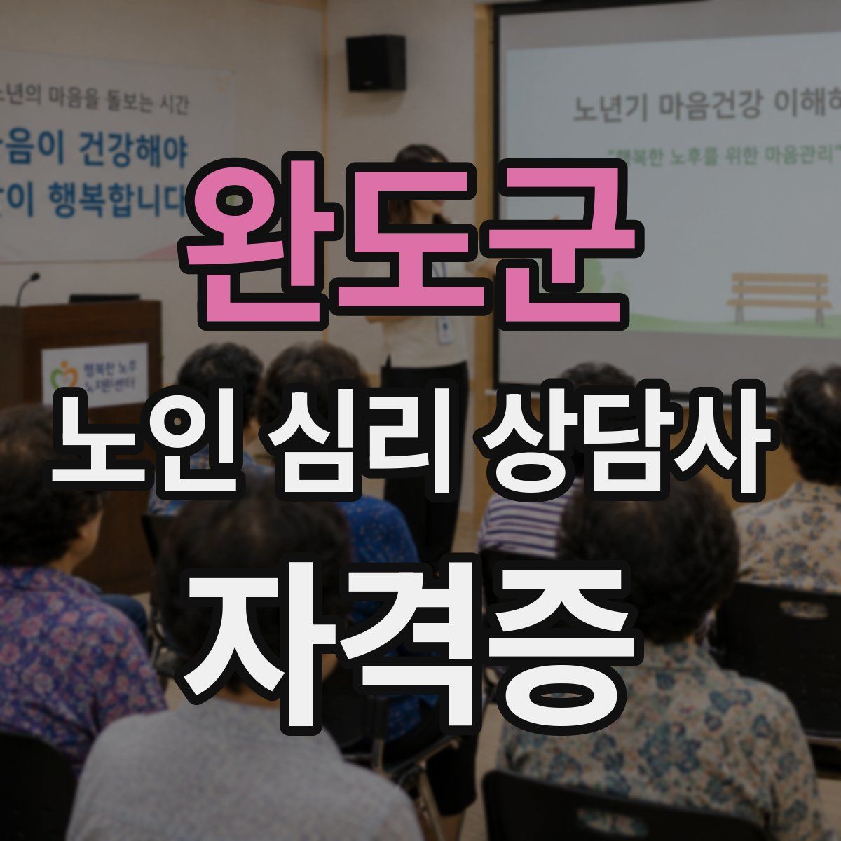 완도군 노인 심리 상담사 자격증