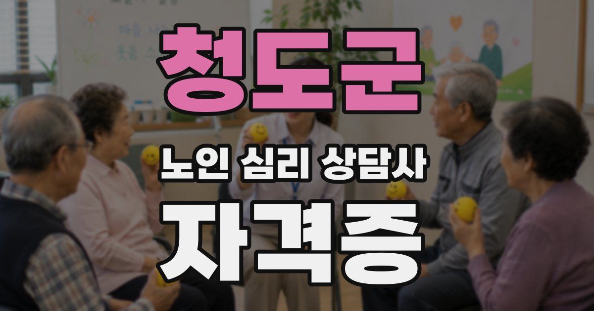 청도군 노인 심리 상담사 자격증
