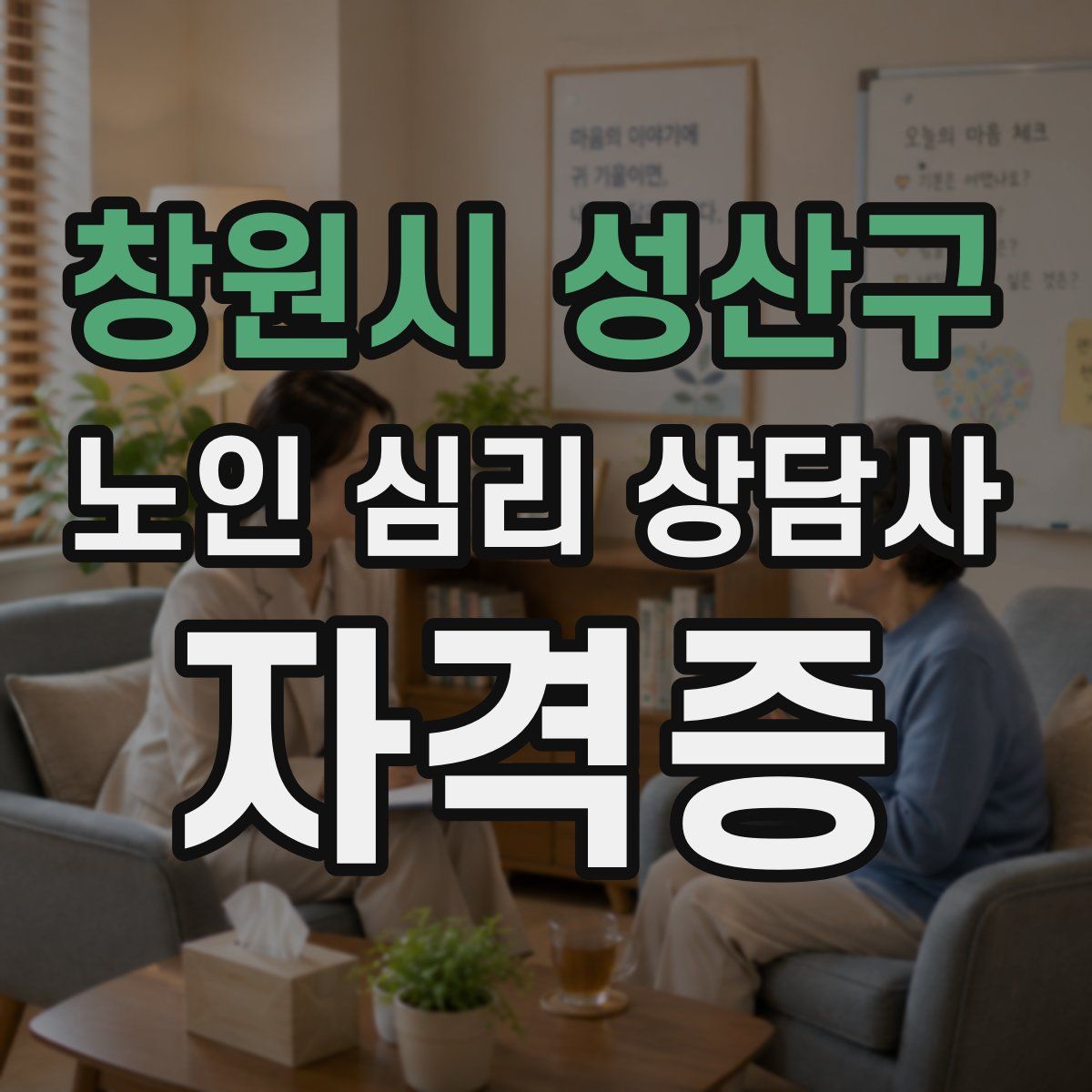 창원시 성산구 노인 심리 상담사 자격증