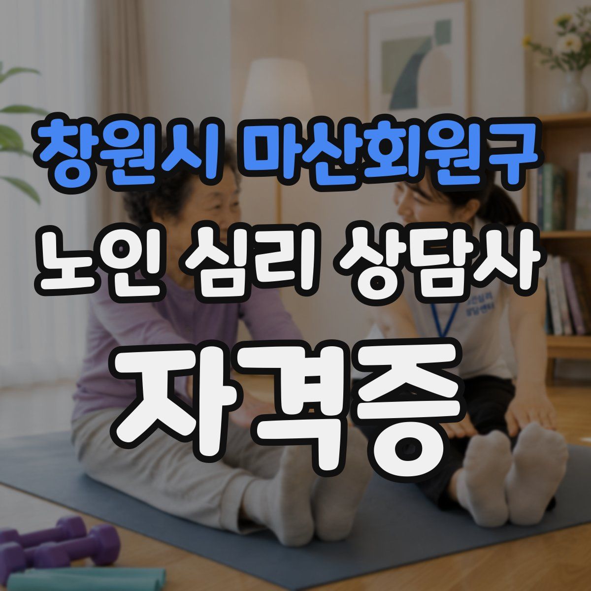 창원시 마산회원구 노인 심리 상담사 자격증