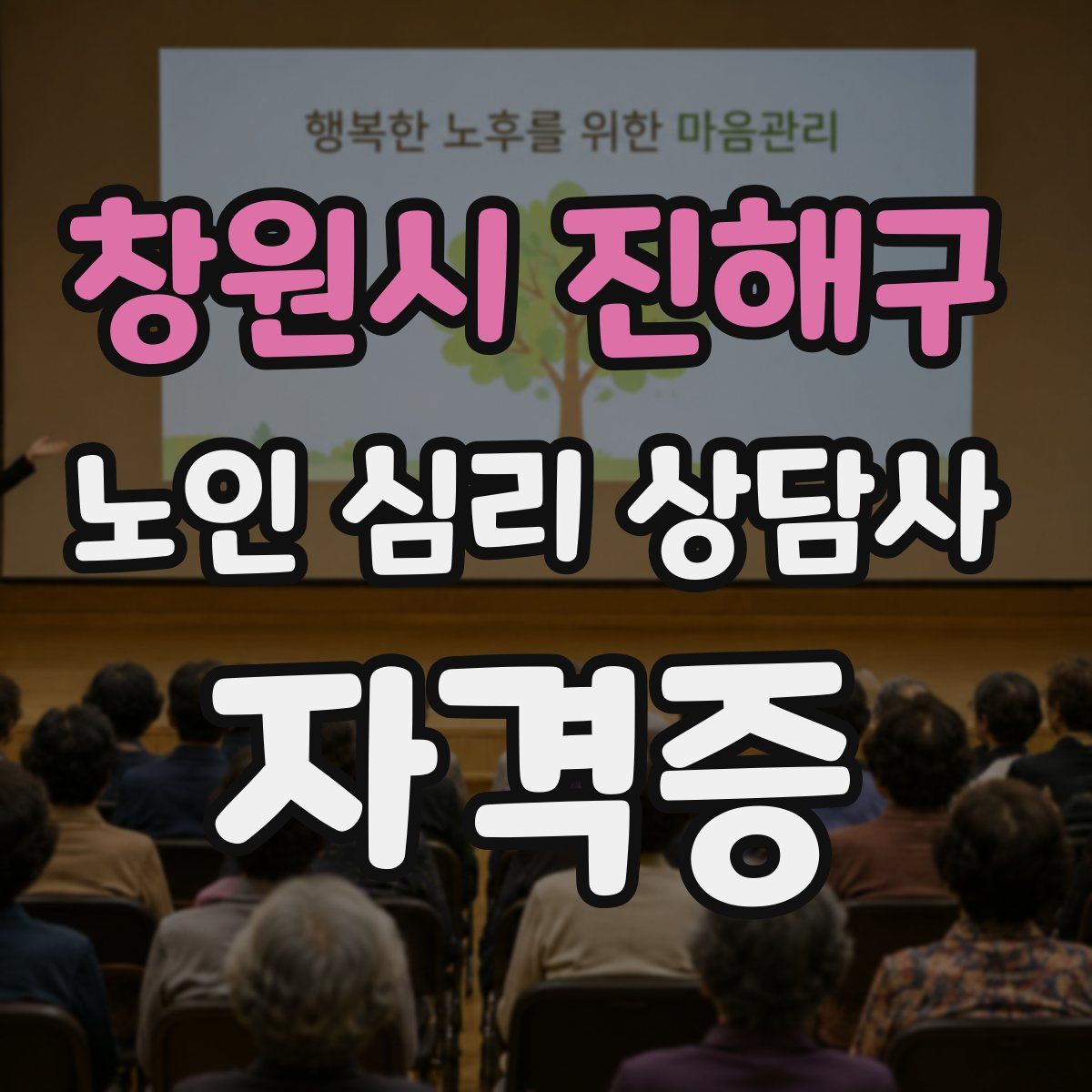 창원시 진해구 노인 심리 상담사 자격증