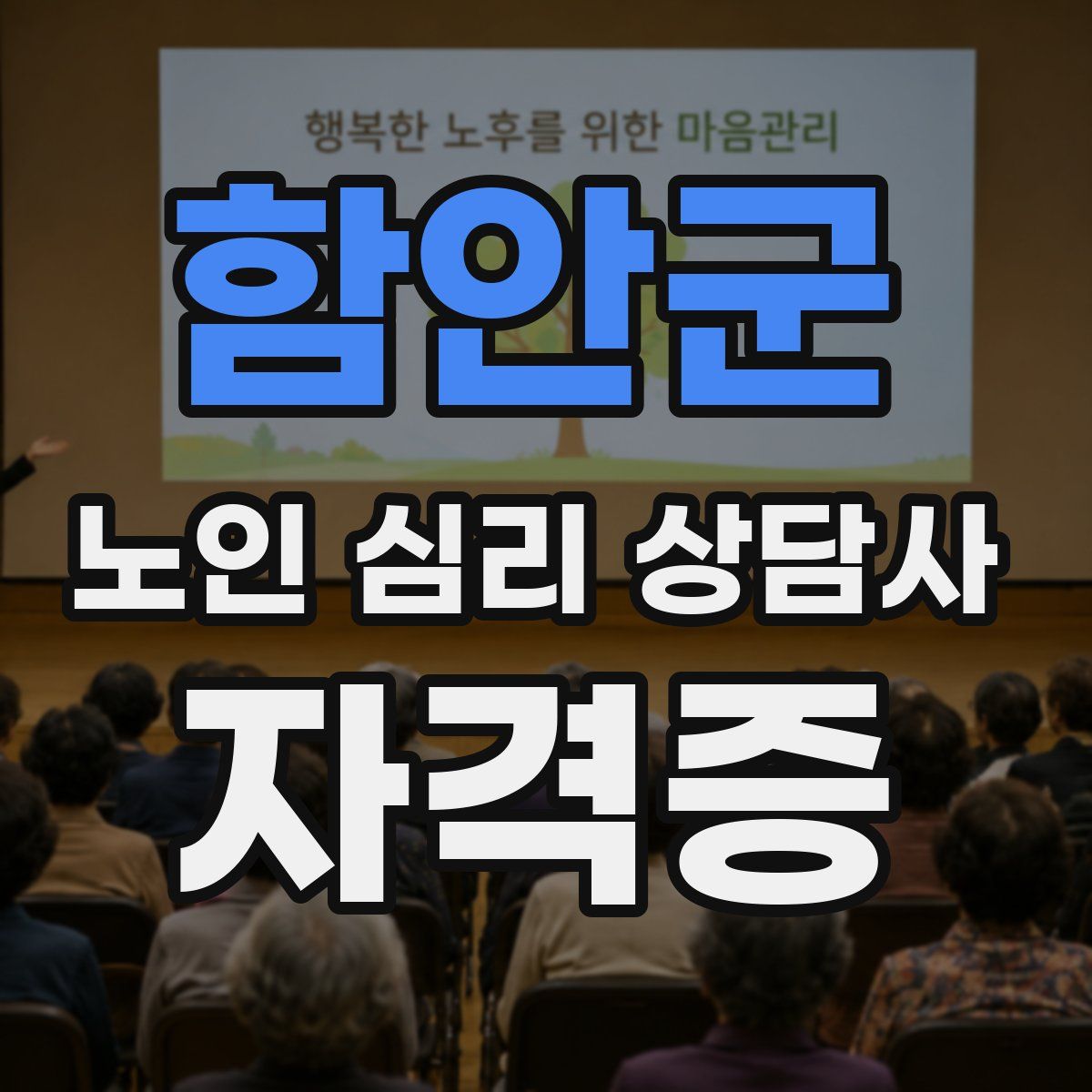 함안군 노인 심리 상담사 자격증