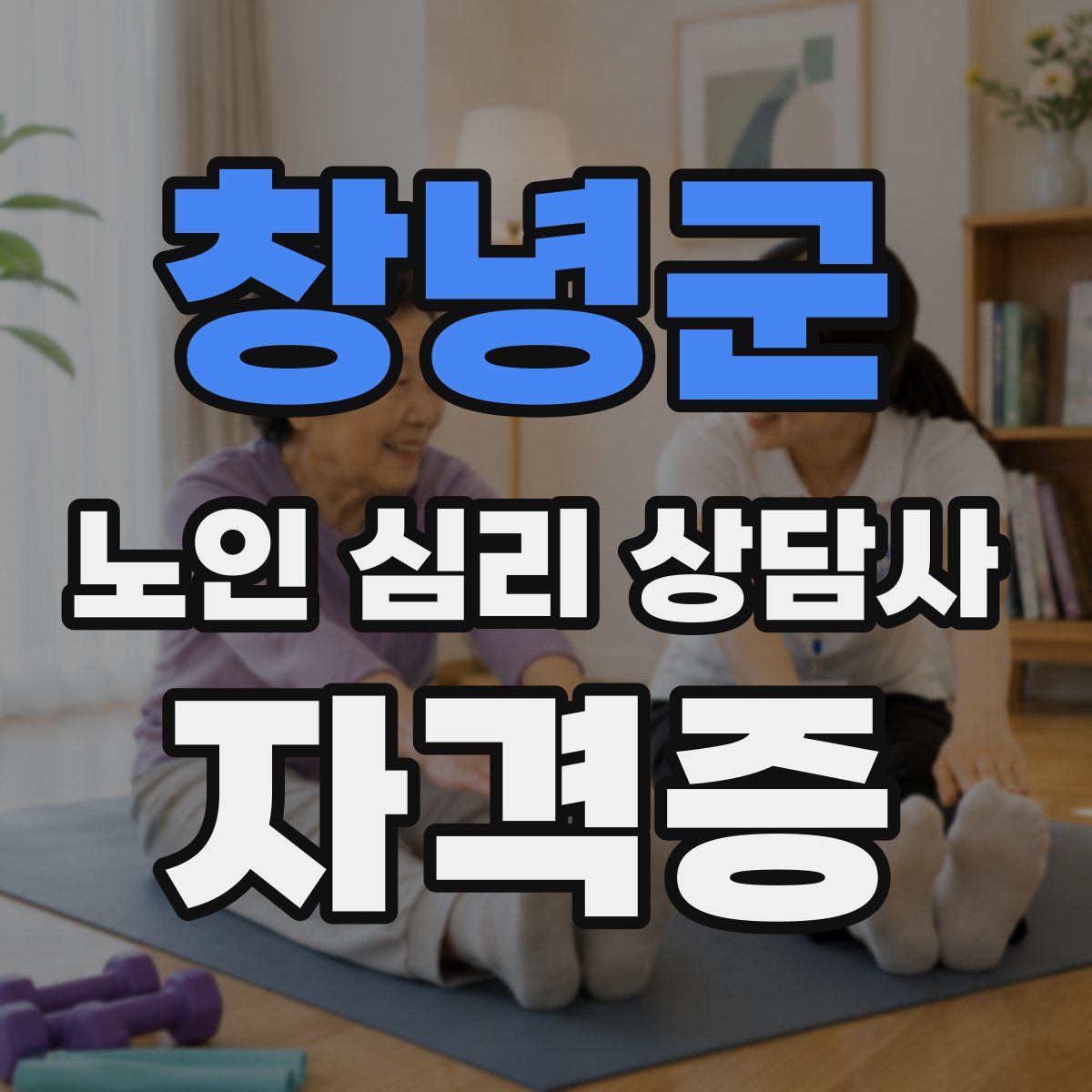 창녕군 노인 심리 상담사 자격증