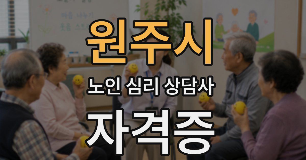 원주시 노인 심리 상담사 자격증