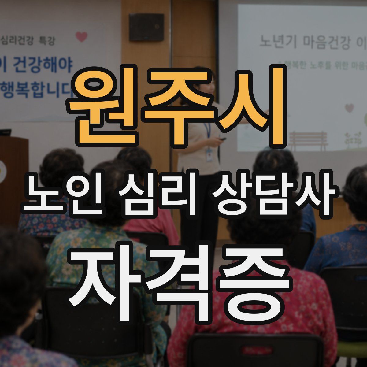 원주시 노인 심리 상담사 자격증