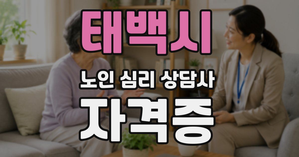 태백시 노인 심리 상담사 자격증