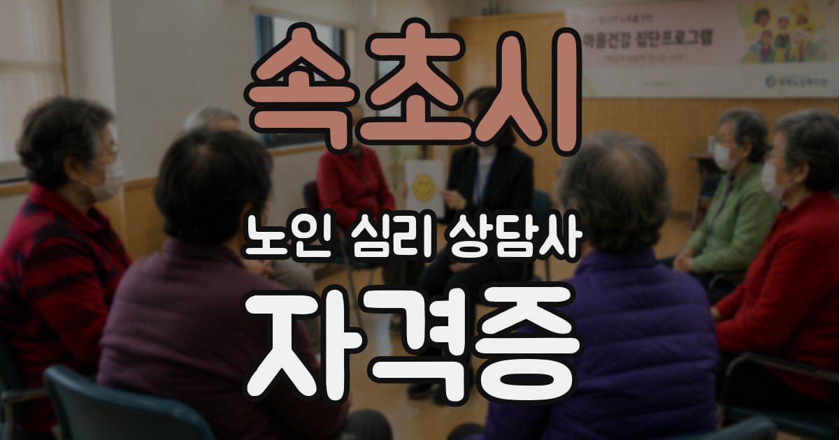 속초시 노인 심리 상담사 자격증